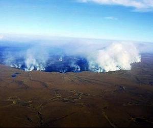 Subarctic wildfires a 'runaway climate change' risk