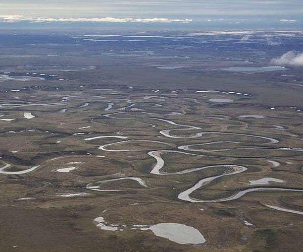 Satellite Data Meets Cellular DNA for Species of Interest