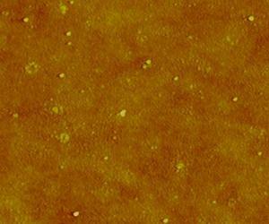 Silver cycle: New evidence for natural synthesis of silver nanoparticles