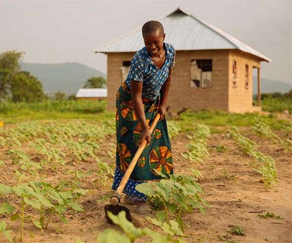 Climate change set to 'increase hunger' in Africa: UN