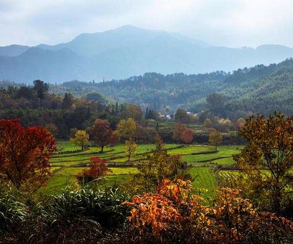 Billions of people rely on wild species for food, fuel, income: UN