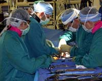 Girl has six organs removed in surgery