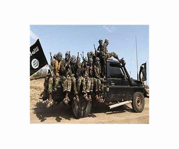Somali forces capture strategic town from Al-Shabaab