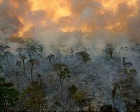 Carbon emissions from Amazonian forest fires up to 4 times worse than feared