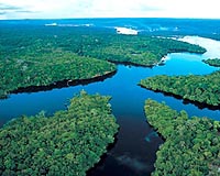 Brazil's Amazon Fund to finance for-profit projects: report