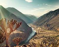 Man versus condor: the king of the Andes under threat