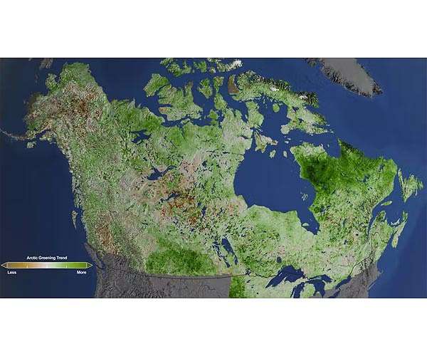 In Canada lake, robot learns to mine without disrupting marine life