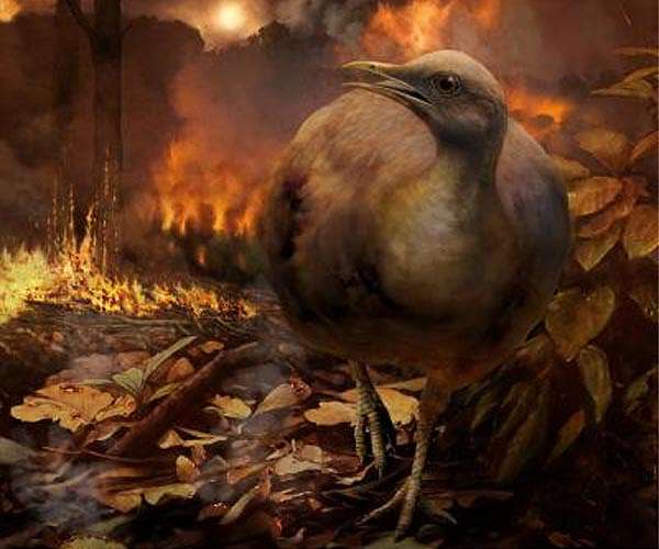 Massive eruptions did not trigger dinosaur extinction