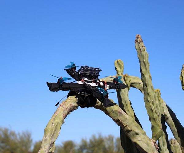 Built to bounce back researchers design drones to cope with collisions