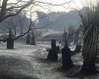 Australia heatwave renews bushfire worries