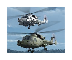 Poland seeking 70 new military helicopters: PM