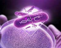 Efficient indium oxide catalysts designed for CO2 hydrogenation to methanol