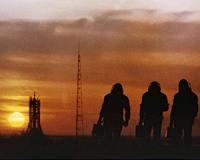 Spaceflight may increase susceptibility to inflammatory bowel disease