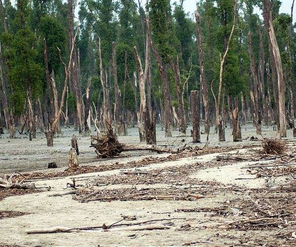 Rivers of salt: life on Bangladesh's climate frontline