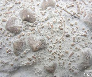 Prehistoric ghosts revealing new details