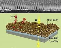 Nature-inspired green energy technology clears important development hurdle