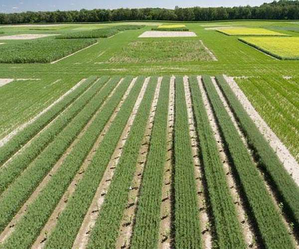 Extreme heat, price hikes impose tough choices on UK farm