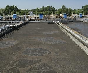 Sludge as new sentinel for human health risks