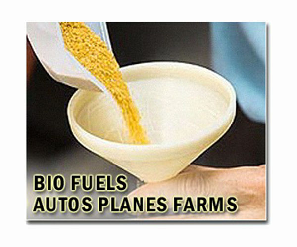Paper: Decarbonize agriculture by expanding policies aimed at low-carbon biofuels