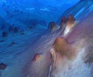 Coldest antarctic water said disappearing