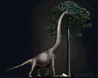 Paleontologists discover largest dinosaur foot to date