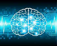 'Steering wheel' brain neurons control if mouse turns left, right