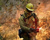 California ramps up reinforcements to fight wildfires