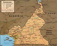 27 Chinese and local hostages released in Cameroon: govt