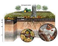 Crop-saving soil tests now at farmers' fingertips