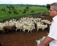 Brazil says meat exports back in business post-scandal