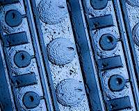 Engineering cellular function without living cells