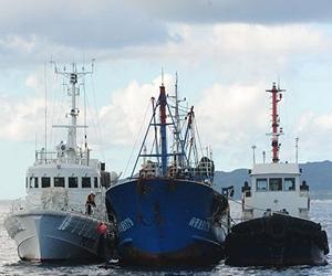 Japan seizes two Chinese ships for 'illegal fishing'