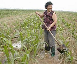 Asia unlikely to achieve climate, poverty goals unless women's rights are recognized