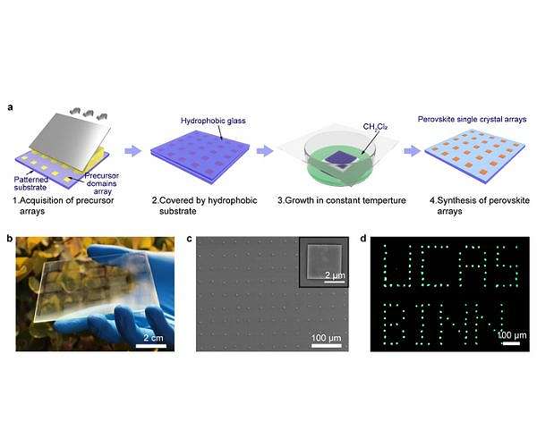 Large-scale perovskite single crystals for laser and photodetector integration