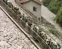 China warns of dam collapses due to rain in quake zone: report