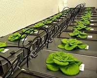 Food stirs up interest at Vegas tech show