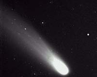 Life's Cometary Payload