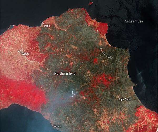 Greek ecosystems face increasing fire risk, experts say