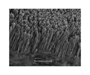 Nanorod-Assembled Order Affects Diffusion Rate and Direction