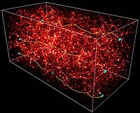 Dwarf Galaxies Need Dark Matter Too