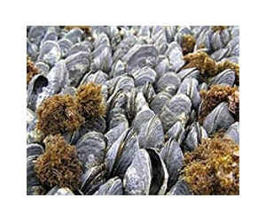 Oceans Reveal Further Impacts Of Climate Change