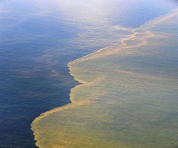 Venezuela oil giant says 80 percent of oil spill cleaned up