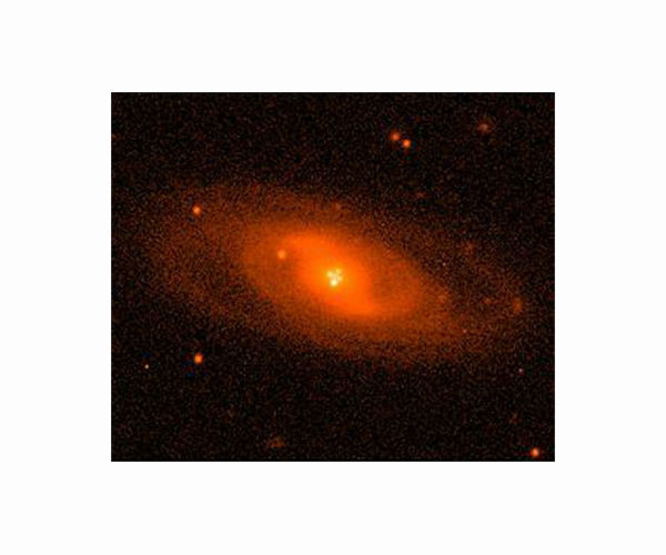 Rare Einstein cross with central image uncovers dark matter halo