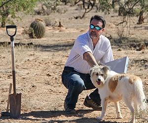 Is pet ownership sustainable?