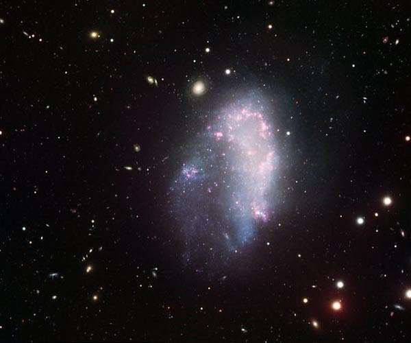 No trace of dark matter halos