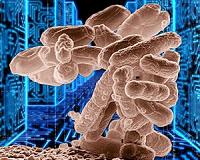 New biosensors for managing microbial 'workers'