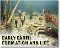 Oxygen depletion triggered mass extinction in oceans similar to today's