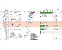 Early hominins in China adapted to changing climate with new technology