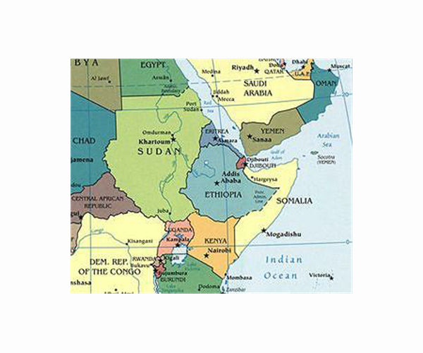 China to appoint special envoy to Horn of Africa: FM