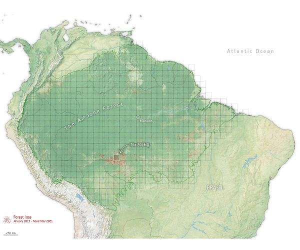 Amazon nations launch alliance to fight deforestation at summit